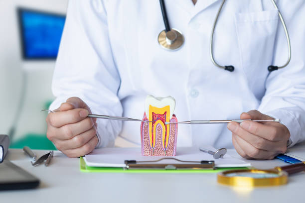Best Emergency Root Canal Therapy in Hutchinson Island South, FL